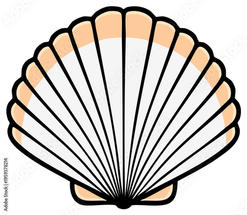 Illustration of a stylized seashell with a fan design in a flat cartoon style.