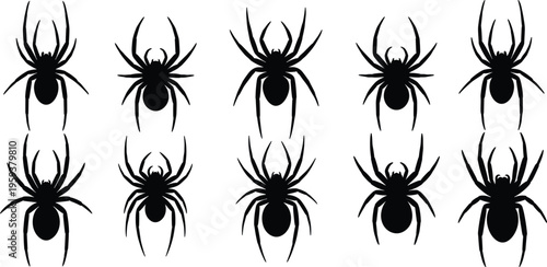 Black spider silhouette collection, creepy halloween arachnid vector set, scary gothic insect icons isolated on white background for horror design