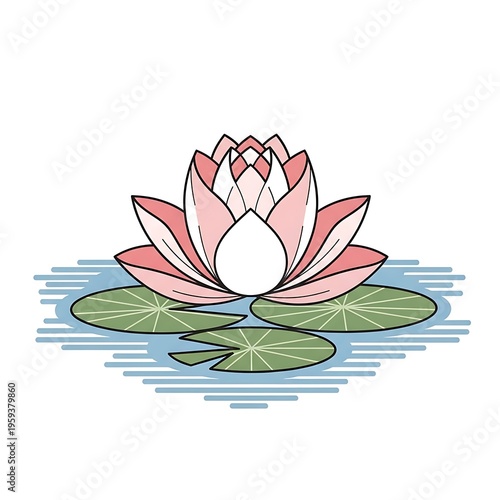Pink lotus flower on water surface.