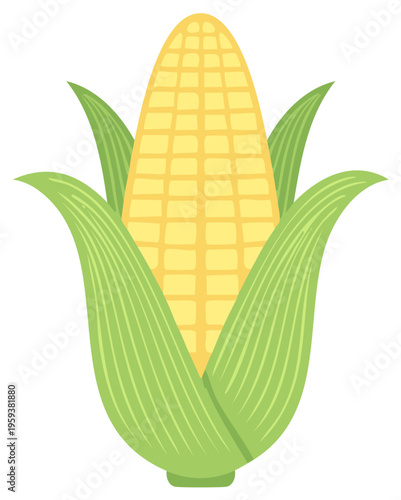 Fresh Sweet Corn with Husk, Cob of Maize Vegetable Food Product