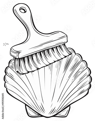 Line Art Depicting a Brush Cleansing an Elegant Seashell, Outlined with Bold Strokes