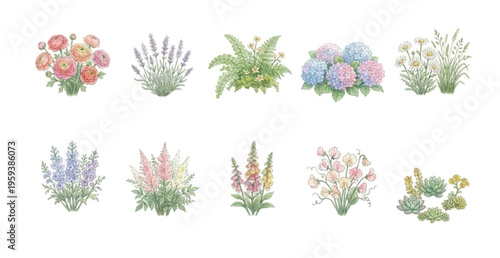 Watercolor Garden Flower Clipart Set — 10 Botanical Wildflowers & Blooms PNG SVG Vector Illustration