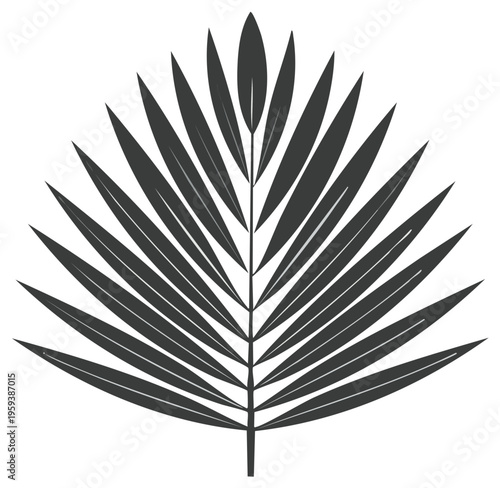 Stylized illustration of palm frond with leaflets arranged around stem. Simple grayscale tropical foliage, botanical design.
