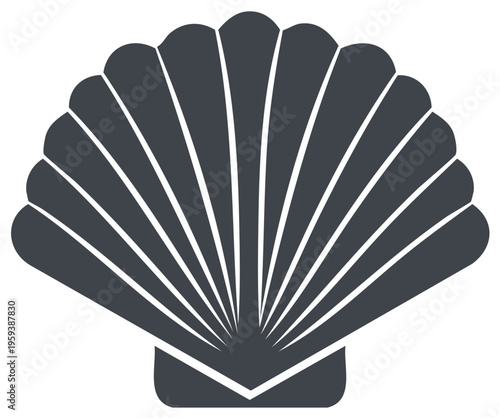 Stylized Seashell Illustration Shellfish Marine Animal Icon Symbol Nautical Graphic