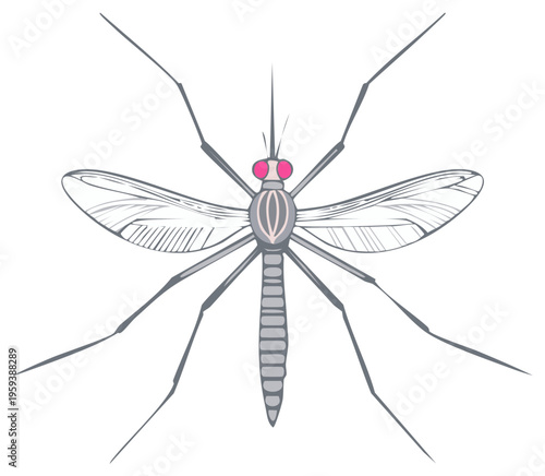 Illustration of a mosquito insect showing delicate wings long legs gray body and prominent pink eyes
