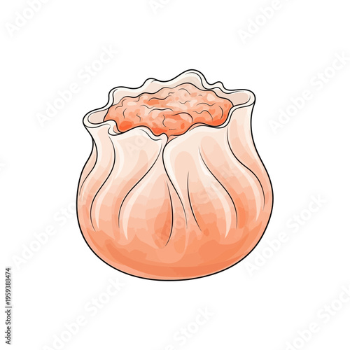 Hand-drawn dim sum dumpling illustration