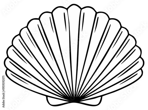 Stylized Line Art Drawing of a Scallop Shell