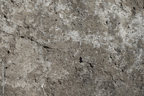The old grey concrete wall is cracked from time and rain.