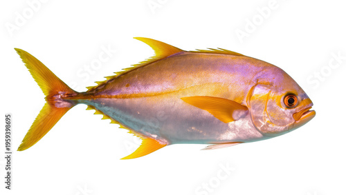Photography Beautiful golden trevally fish with iridescent scales and vibrant yellow fins, c