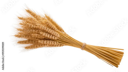 Fotografi Golden dry wheat ears tied into a rustic bundle, symbolizing harvest and agricul