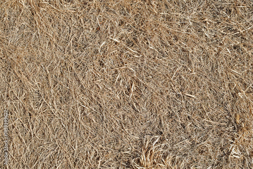 Dried grass in early spring is a fire hazard.