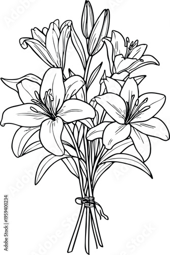 Bouquet of lily flowers elegant line art illustration for design isolated on white background perfect for wedding invitations and spring decor