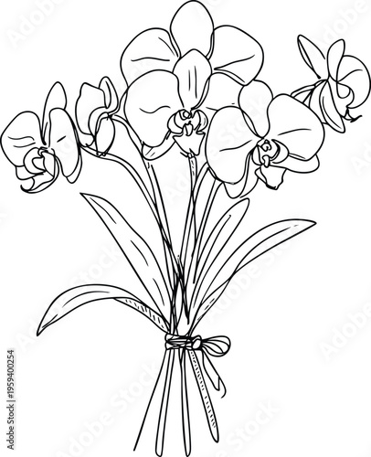 Orchid flower bouquet line art elegant botanical illustration for design isolated on white background