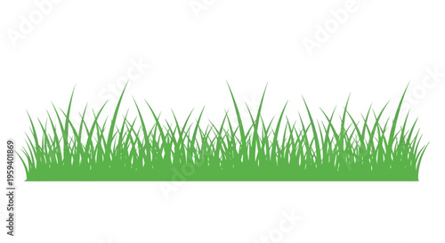 Green Grass Border Illustration, Isolated Flat Vector Lawn Element for Nature and Spring Designs