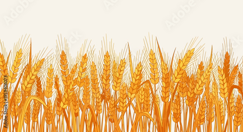 Golden Wheat Field Illustration - Stylized Ripe Grain Stalks for Harvest, Agriculture, and Organic Food Background