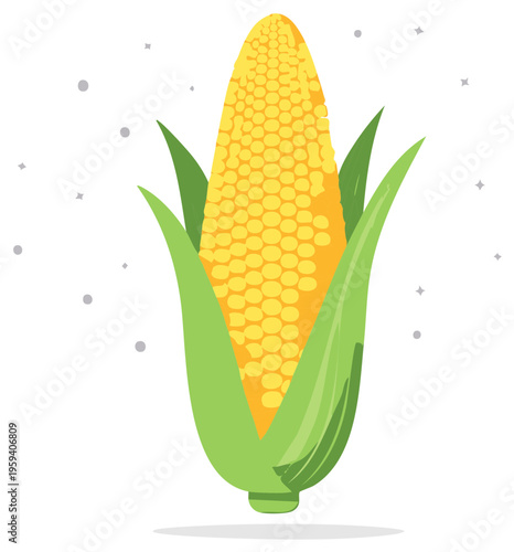 Vibrant yellow sweet corn on the cob graphic illustration with partially peeled green husks