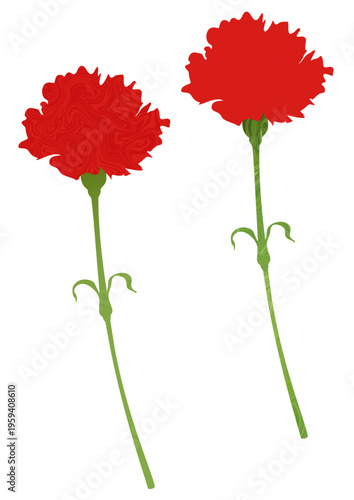 赤いカーネーションのイラスト　ベクター