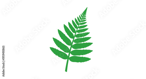 Vibrant Green Fern Frond Illustration Isolated on White Background for Diverse Design