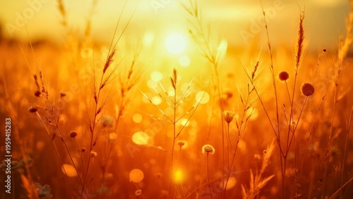 The natural scenery of Jinguang Meadow