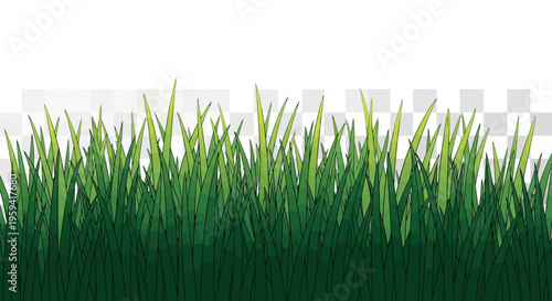 Green Grass Border Illustration on Transparent Background for Landscape Design and Nature Concepts