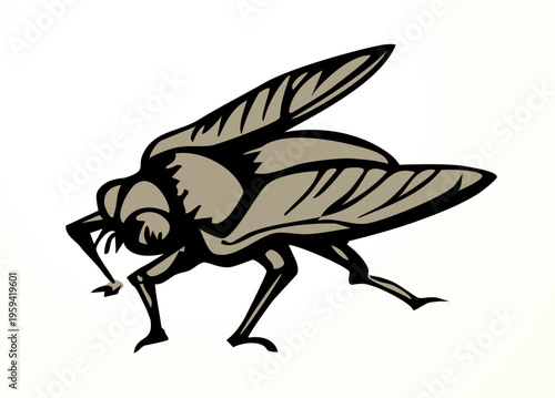 Vector drawing. Dogfly. One of the Plagues of Egypt.
