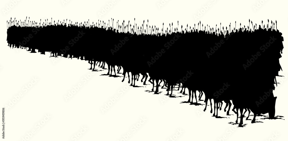 Fototapeta premium Vector drawing. Army on chariots