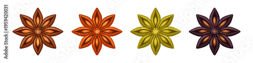 Four colorful star anise pods arranged in a row on a white background