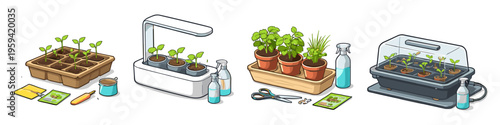 Various stages of plant growth and gardening supplies for indoor cultivation