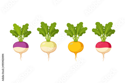 Collection of four colorful root vegetables with green leafy tops on a white background