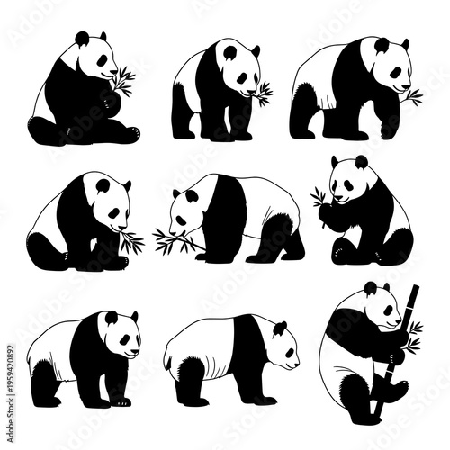 Vector Panda Silhouettes Collection Isolated on White Background
