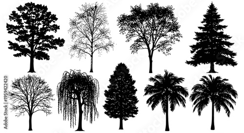 Vector Set of Black and White Trees Collection 2