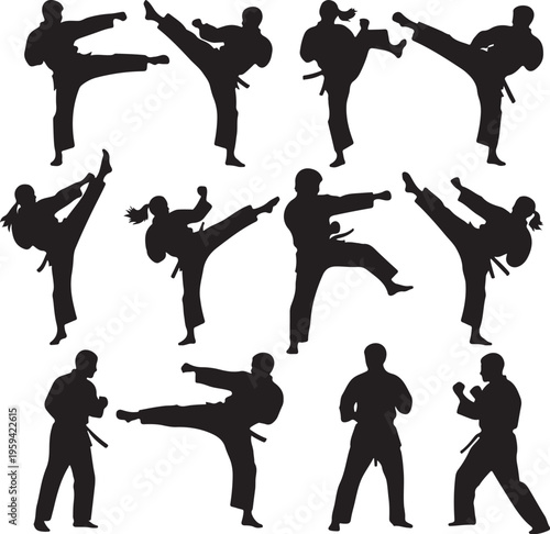 Martial art 2 male and female silhouettes