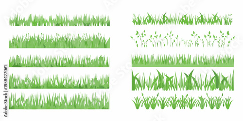 Collection of various green grass blades and patches on white background