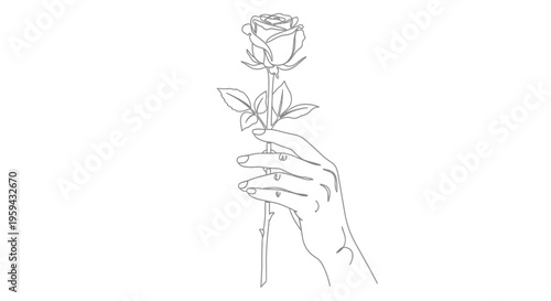 Minimalist line art of a hand holding a single rose
