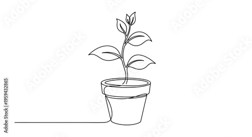 Simple line drawing of a potted plant with new growth