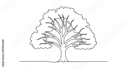 Detailed line drawing of a majestic tree with spreading branches and a leafy canopy