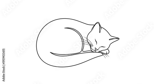 Minimalist black line drawing of a sleeping cat curled up on a white background