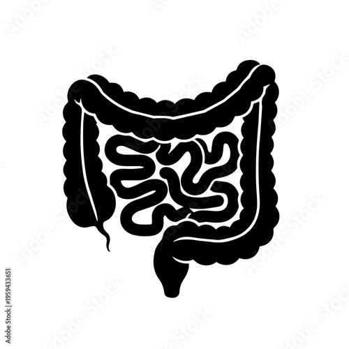 Simplified graphic icon of the human digestive system, featuring a black silhouette of the large and small intestines. This anatomical illustration is ideal for medical, health, and biological themes