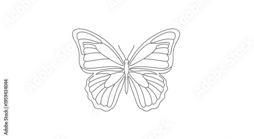 Delicate outline of a butterfly, its wings spread, with detailed vein patterns