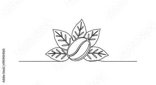 A minimalist line drawing features a single coffee bean surrounded by leaves