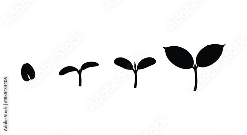 Vector graphic illustration showing the sequential growth stages of a plant seedling emerging from a seed