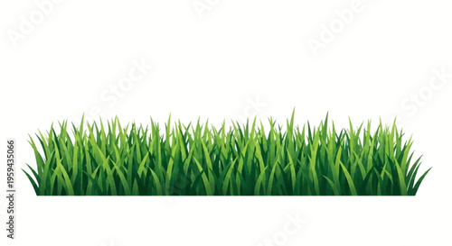 Lush Green Grass Border Illustration Isolated on White Background