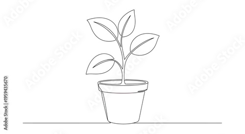 Minimalist line art of a potted plant with four leaves on a white background