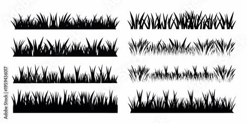 Black silhouettes of various grass types arranged in neat rows