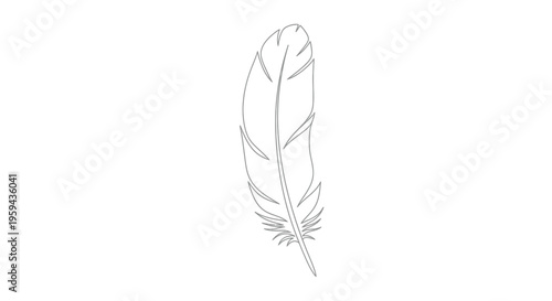 Minimalist gray outline of a single feather on a white background