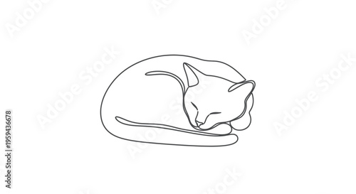 A minimalist line drawing depicts a cat curled up asleep on a plain white background