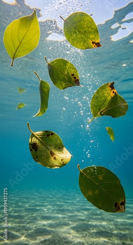 School of tropical fish swimming underwater.