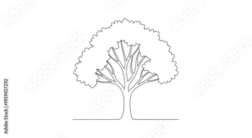A minimalist line drawing of a tree with a full canopy and visible branches