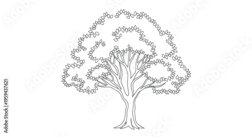 A stylized line drawing of a mature tree with a broad canopy and intricate branches