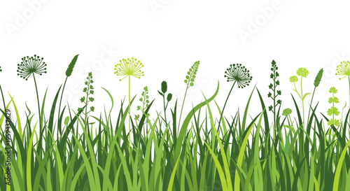 Green Grass and Wildflowers Border Illustration on White Background